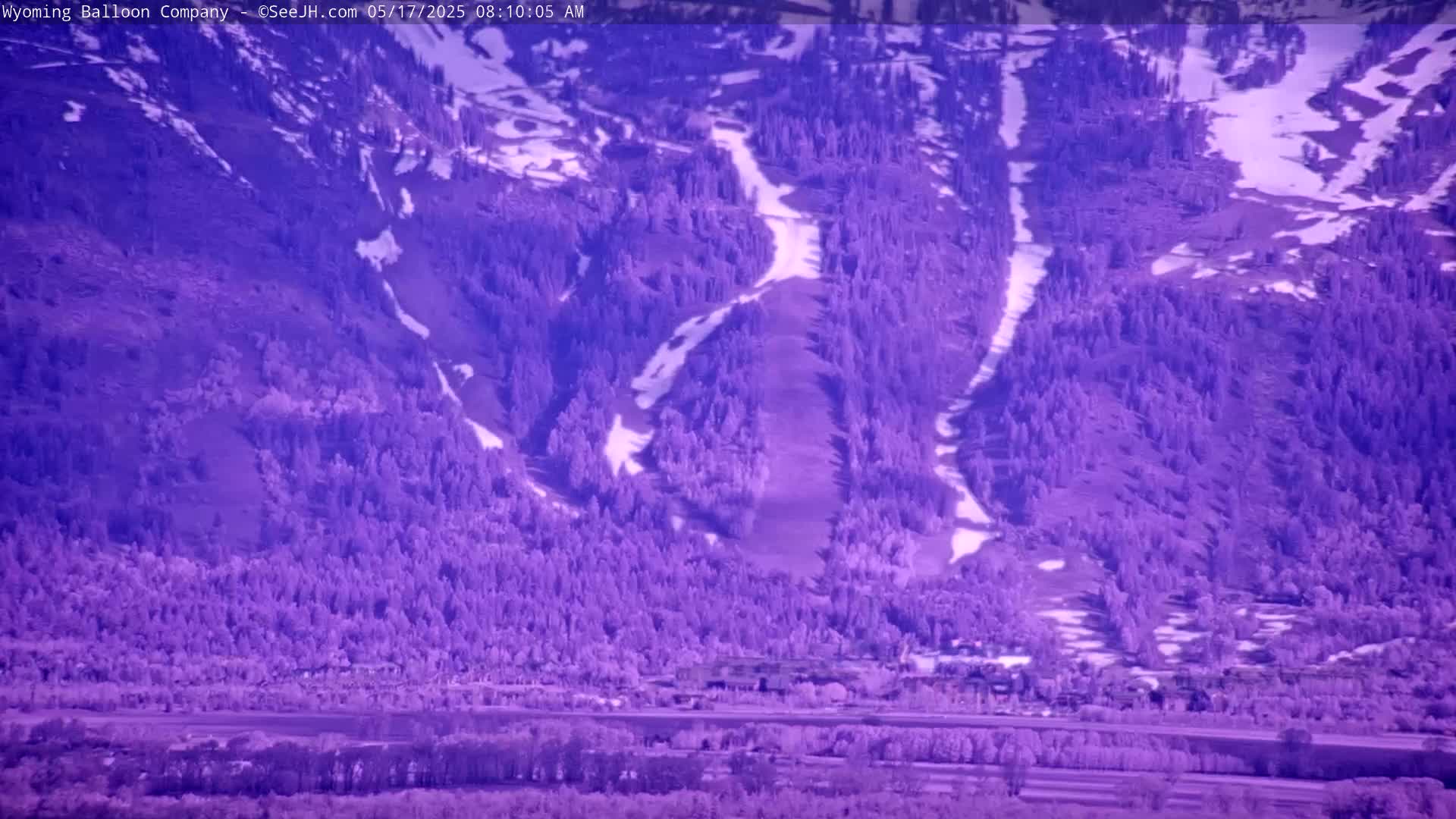 A purple-toned view shows a snow-dusted mountainside covered with evergreen trees and a valley below.