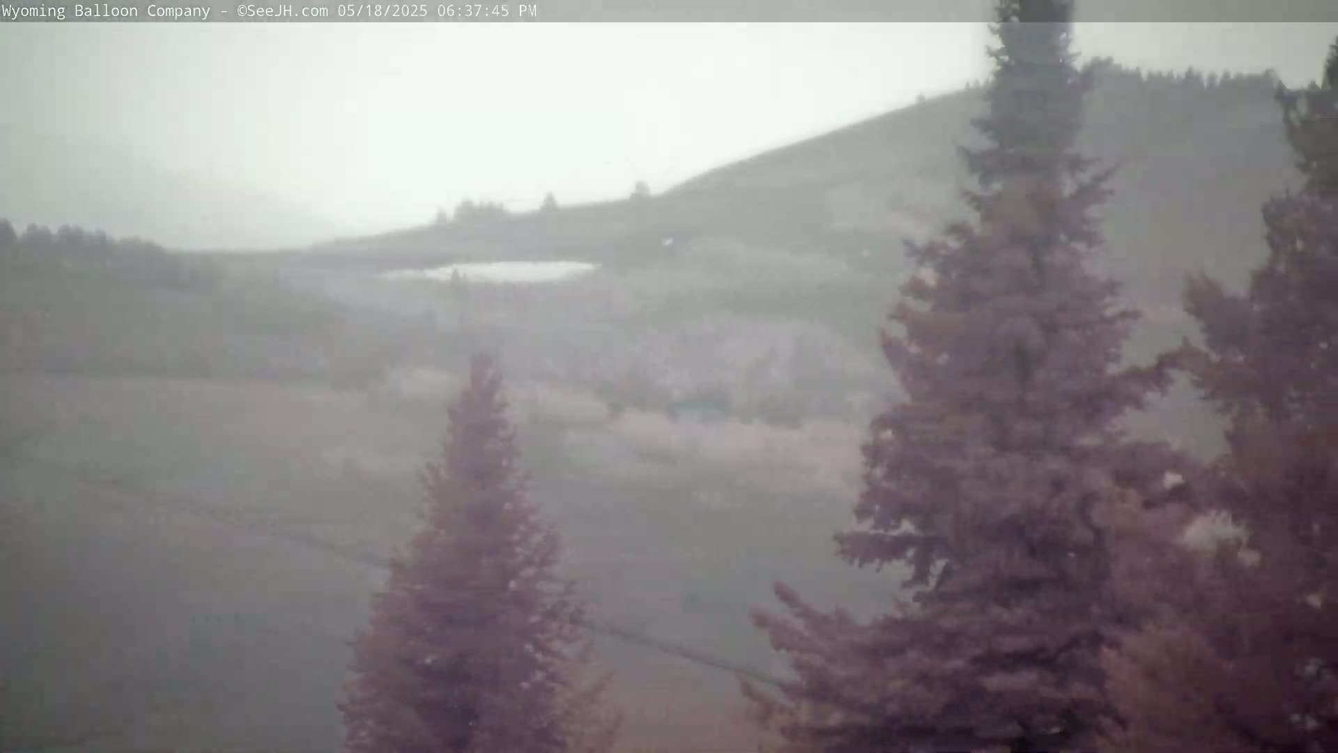 Grand Teton National Park  PTZ Live Cam - Moose, Teton, Wyoming, USA