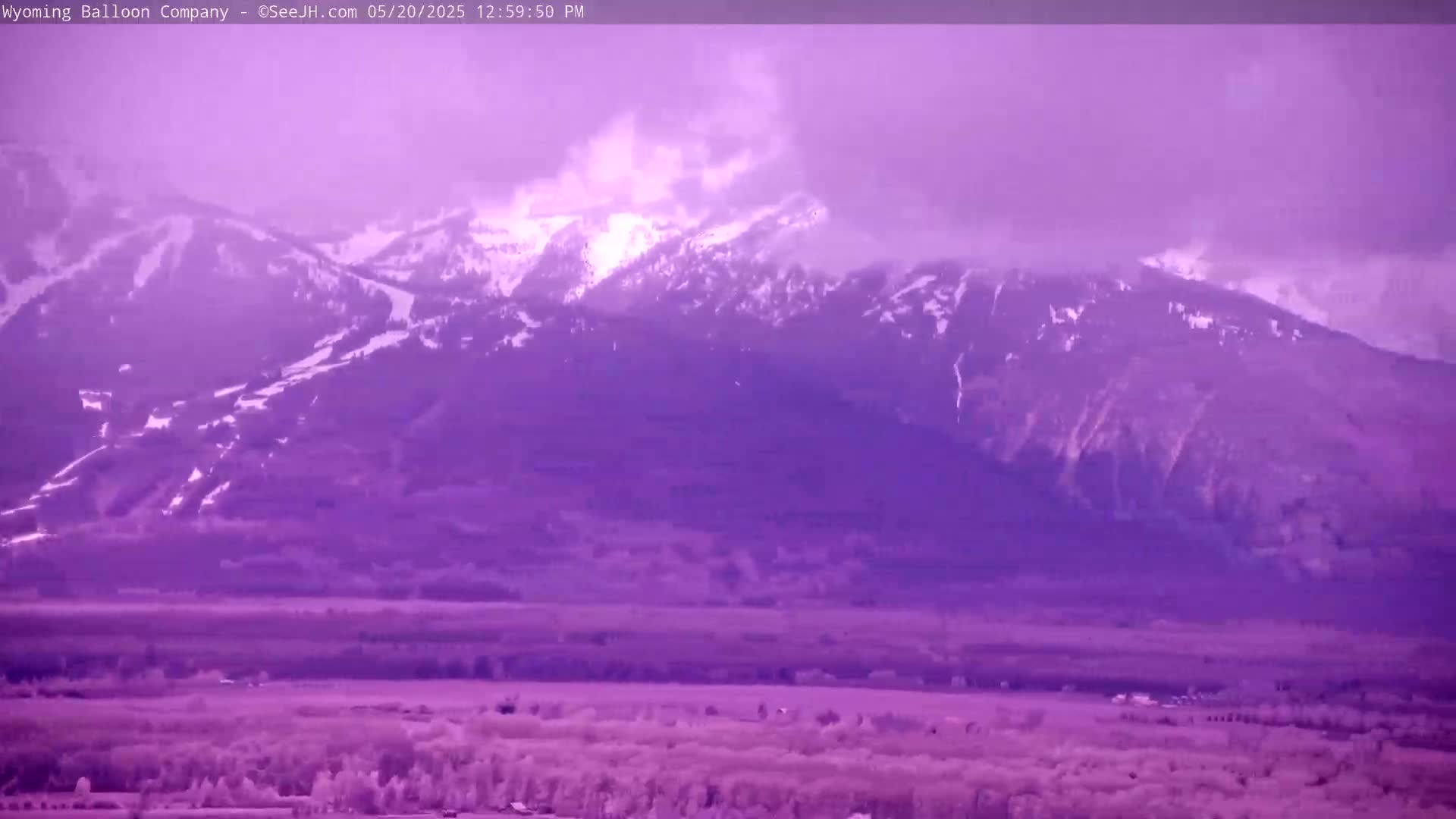 A snow-capped mountain range is visible under an overcast purple sky, overlooking a flat valley covered in trees.