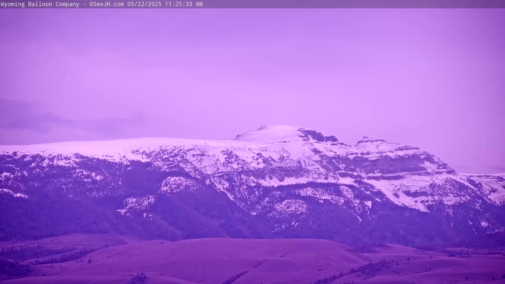 A snow-capped mountain range is visible under a pale purple sky.