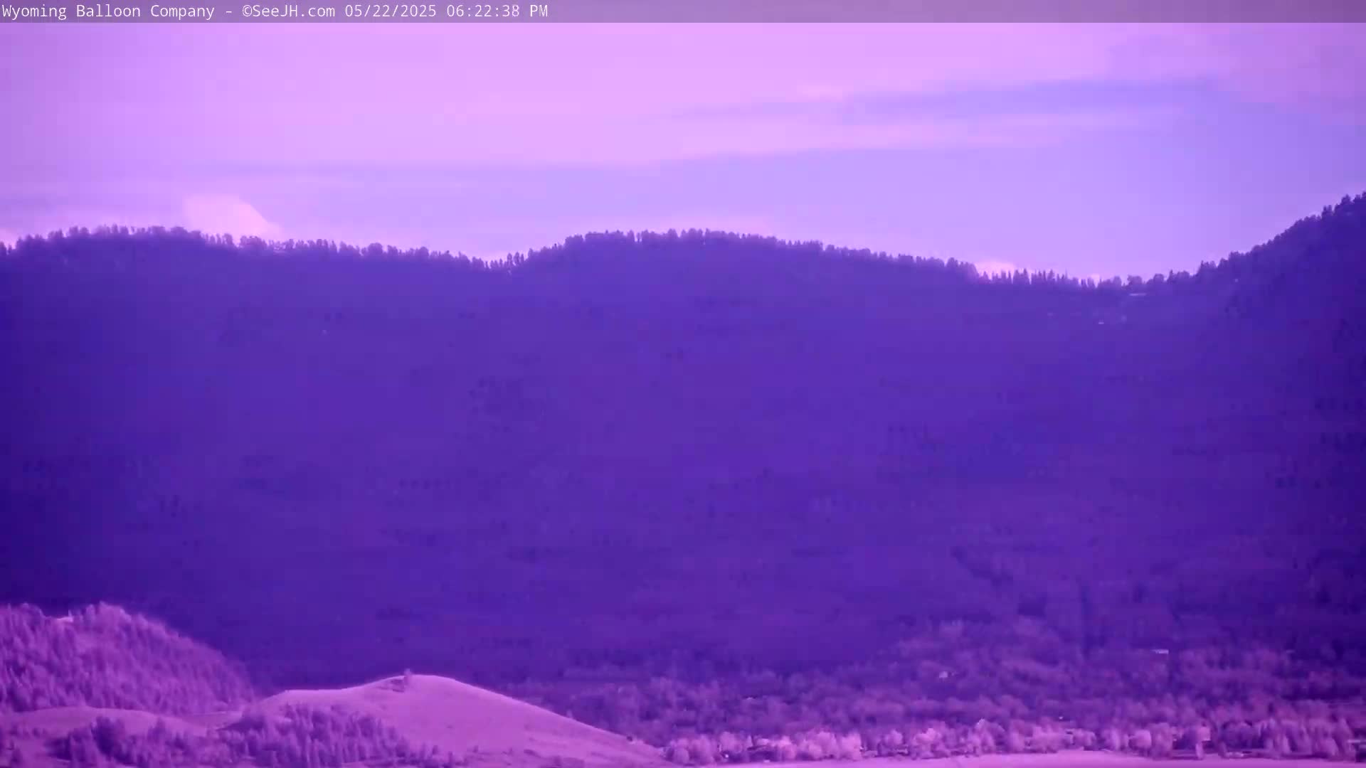 A purple-hued landscape shows a line of trees atop a mountain range under a clear, light purple sky.