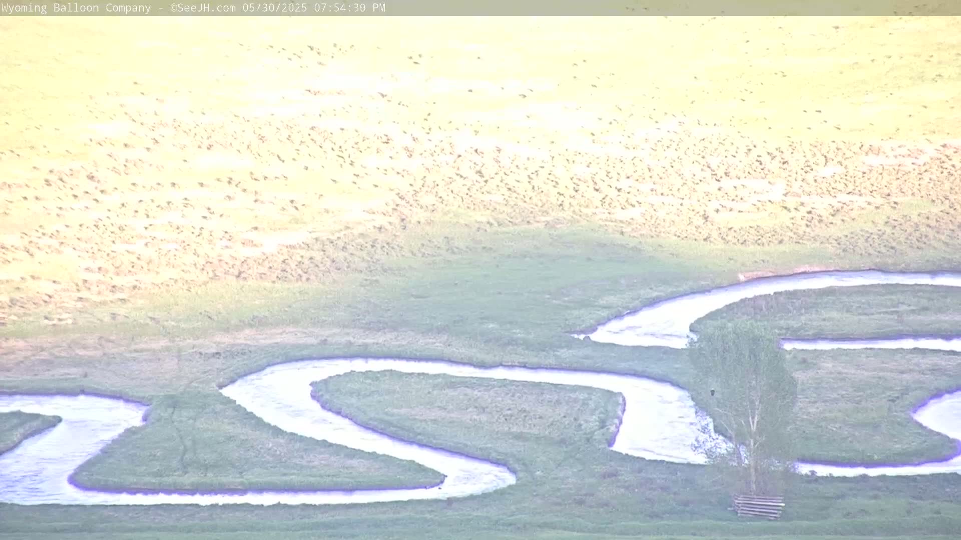 A winding river flows through a hazy, grassy plain populated by a large flock of birds.