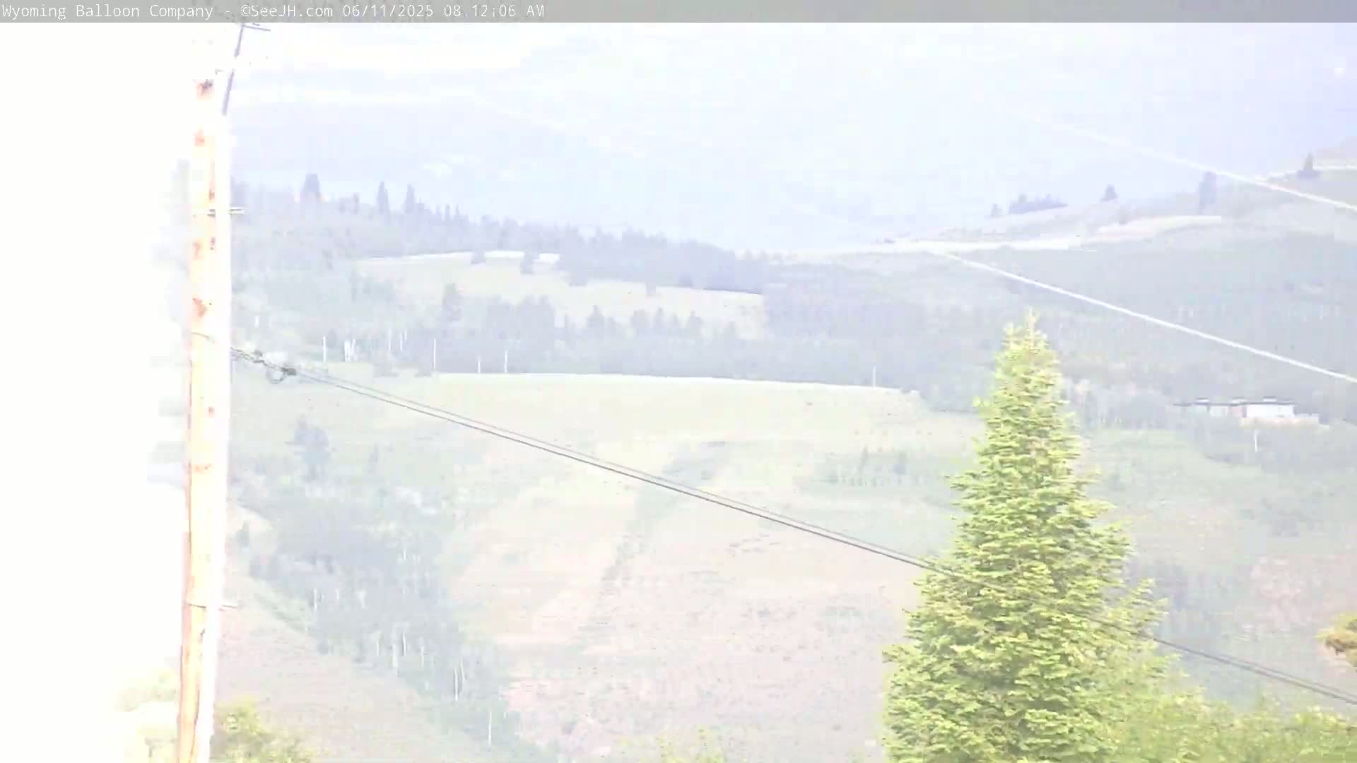 A hazy view of a distant landscape featuring rolling hills, sparse trees, and power lines, with a tall evergreen tree in the foreground.