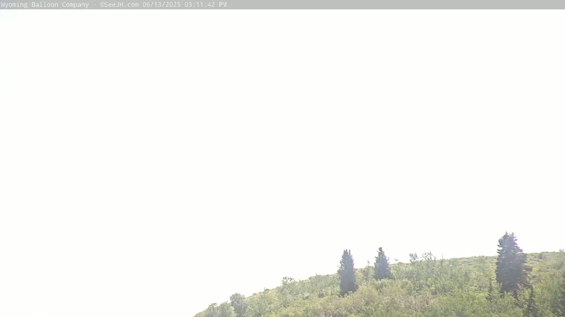 A mostly bright, hazy sky is visible above a gently sloping hill covered in green vegetation and a few tall, dark trees.
