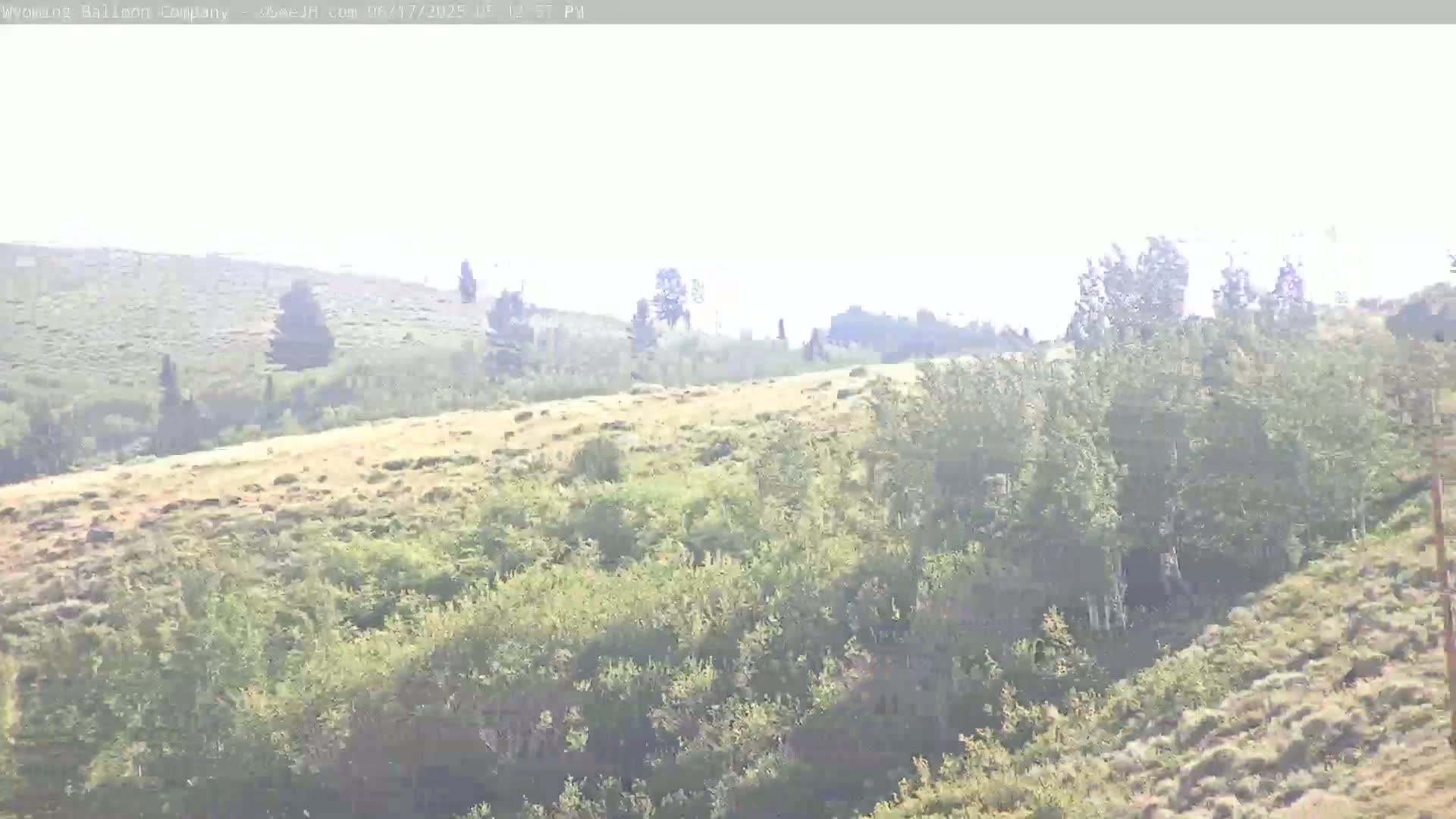 Grand Teton National Park  PTZ Live Cam - Moose, Teton, Wyoming, USA