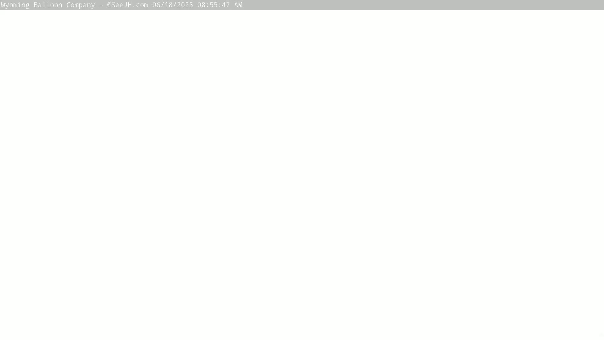 The image is a completely blank, white screen.