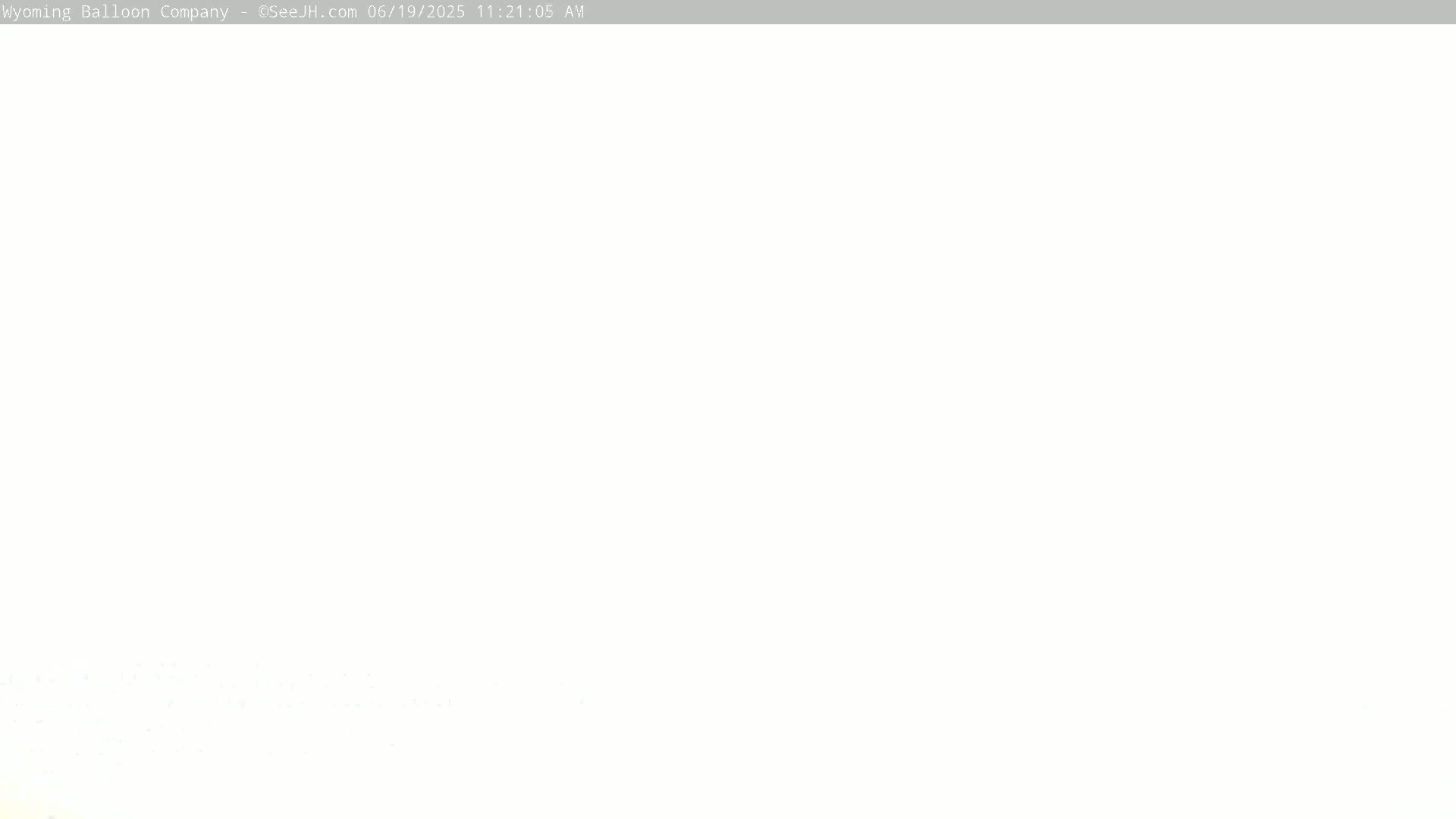 The image is a completely blank white screen.