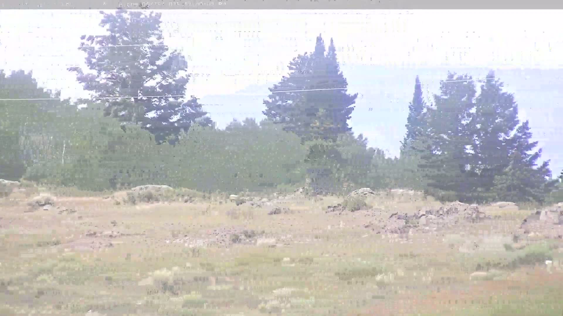 Grand Teton National Park  PTZ Live Cam - Moose, Teton, Wyoming, USA