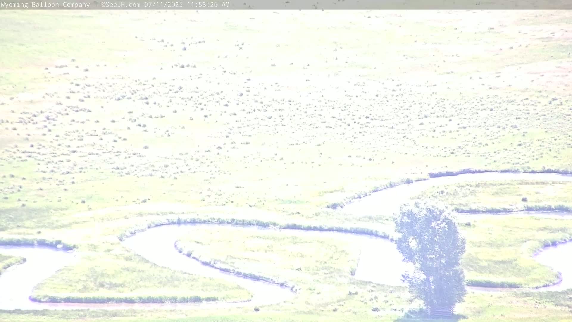 Grand Teton National Park  PTZ Live Cam - Moose, Teton, Wyoming, USA