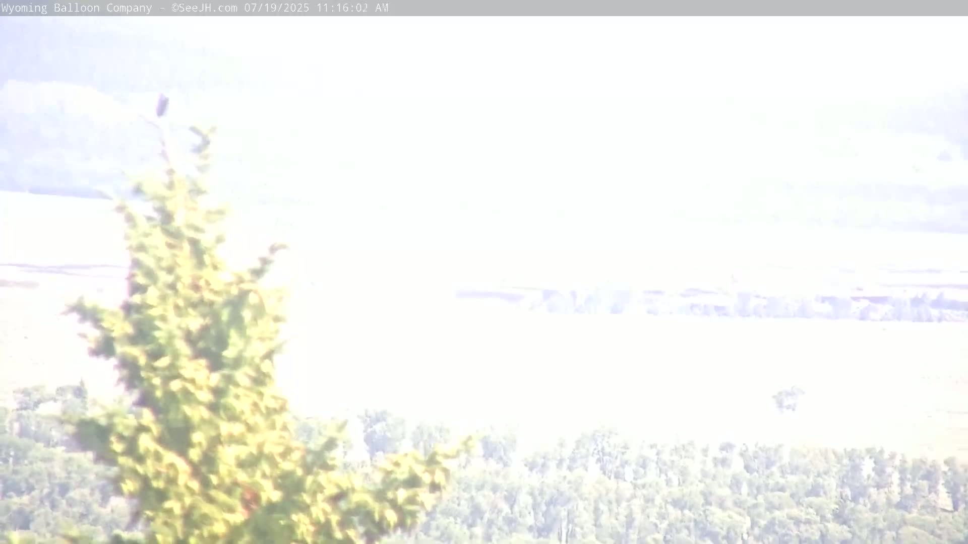 Grand Teton National Park  PTZ Live Cam - Moose, Teton, Wyoming, USA