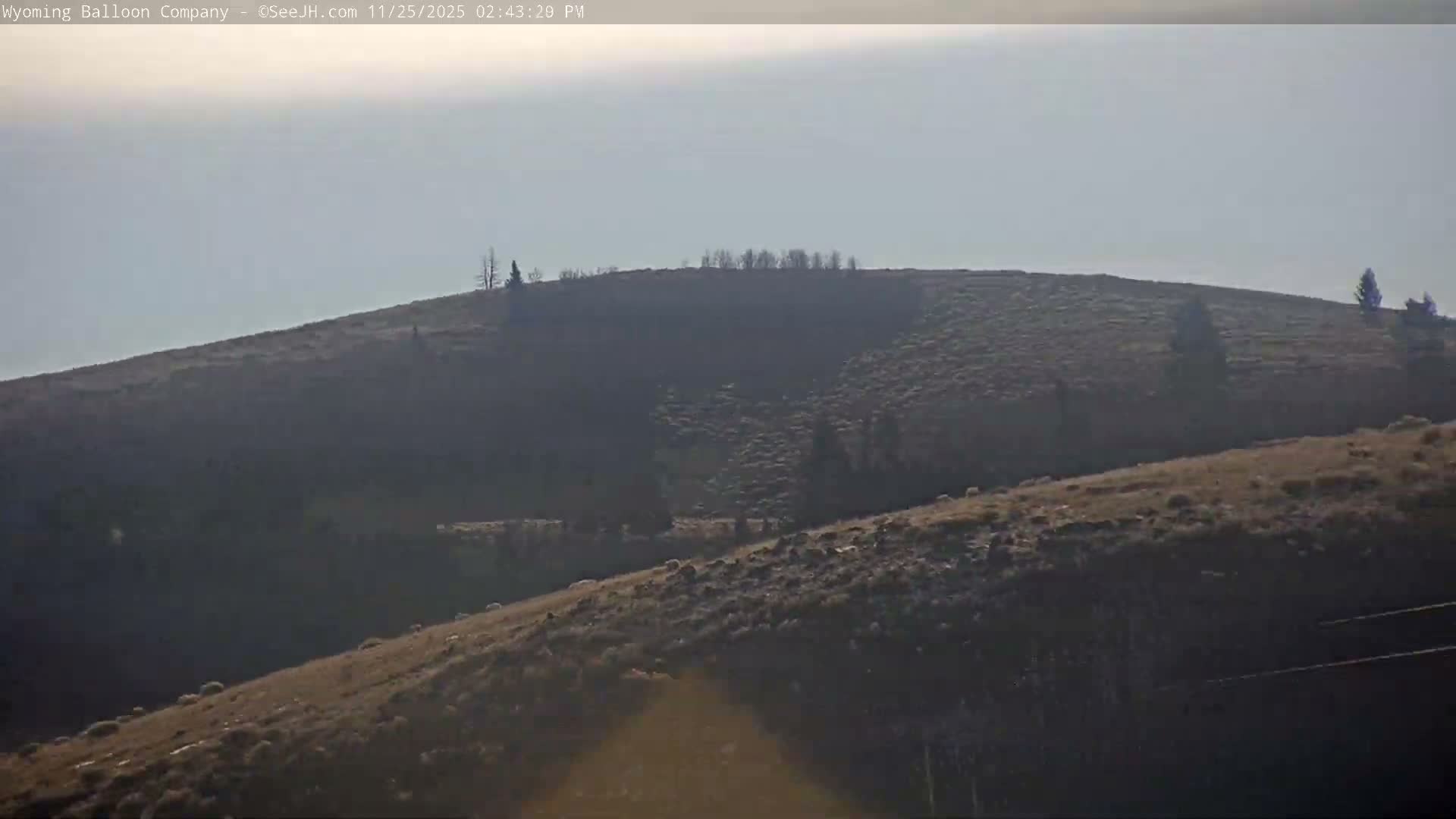 Grand Teton National Park  PTZ Live Cam - Moose, Teton, Wyoming, USA