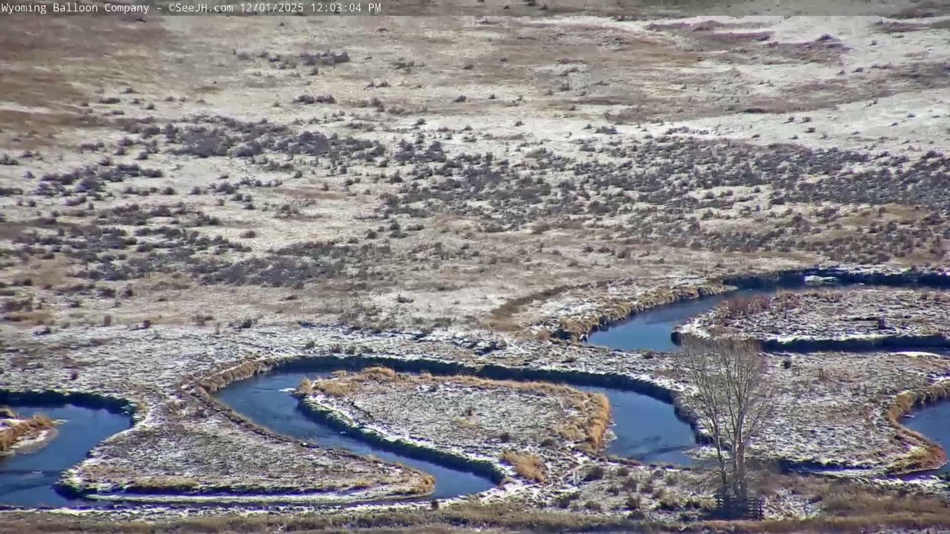 Grand Teton National Park  PTZ Live Cam - Moose, Teton, Wyoming, USA