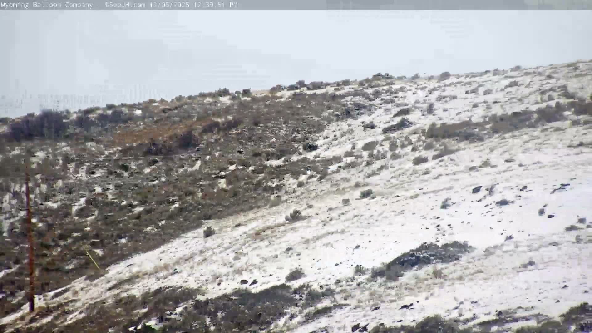 Grand Teton National Park  PTZ Live Cam - Moose, Teton, Wyoming, USA