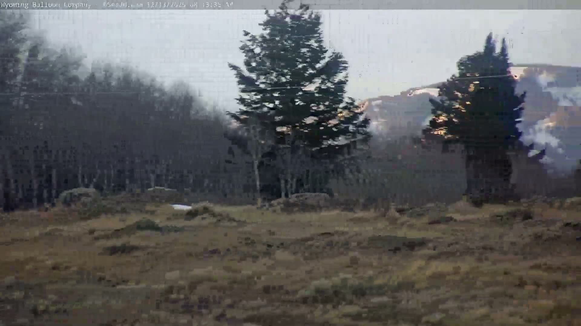 Grand Teton National Park  PTZ Live Cam - Moose, Teton, Wyoming, USA