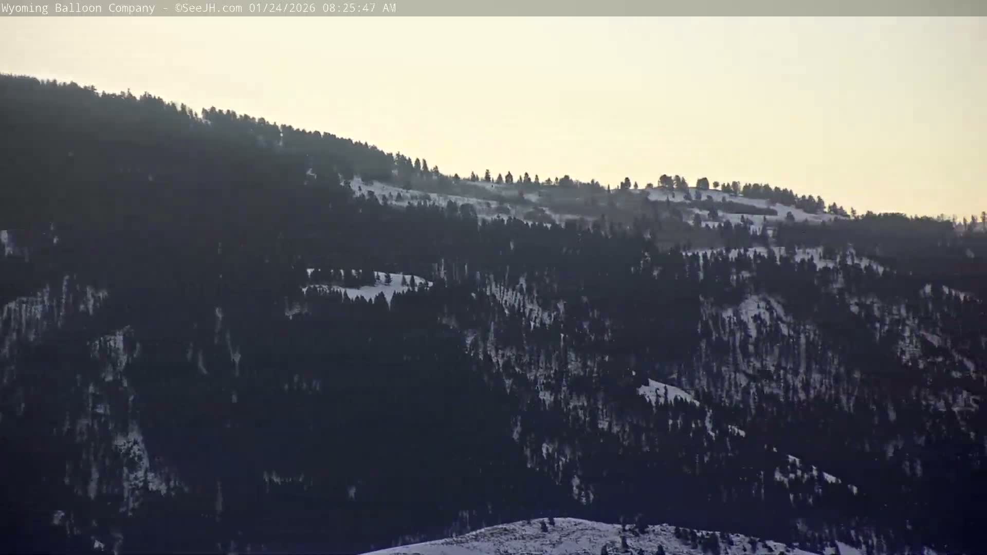 Grand Teton National Park  PTZ Live Cam - Moose, Teton, Wyoming, USA