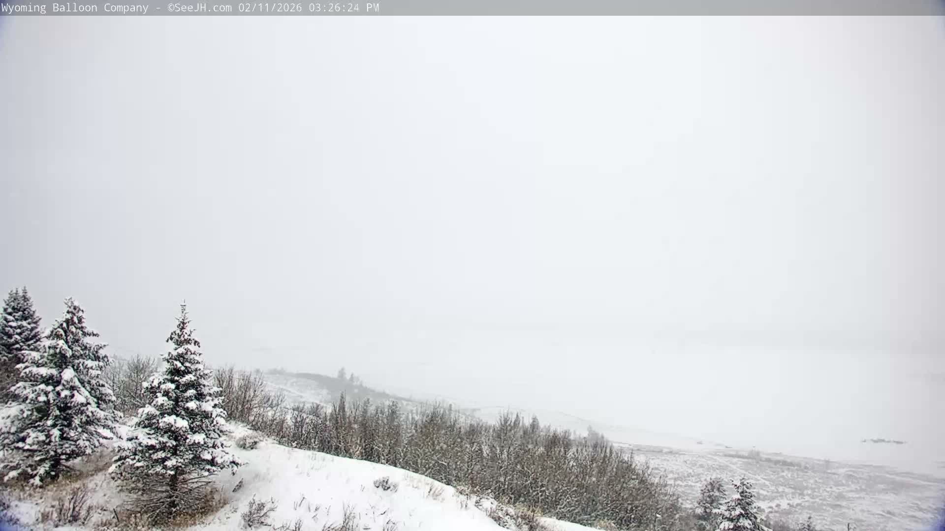 Grand Teton National Park  PTZ Live Cam - Moose, Teton, Wyoming, USA