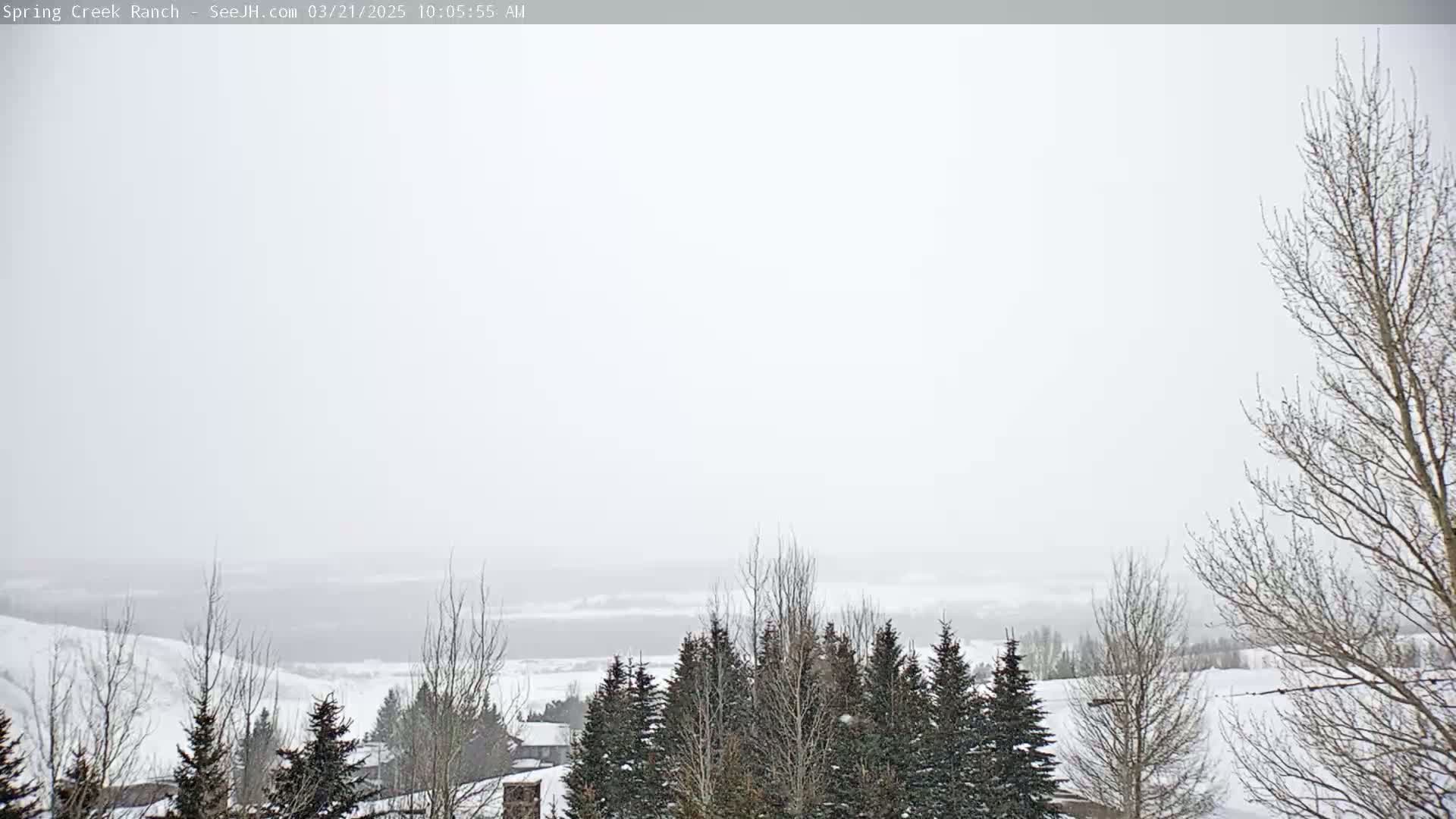 A snow-covered landscape with leafless trees and evergreens in the foreground, overlooking a distant, hazy plain under a heavy, overcast sky.