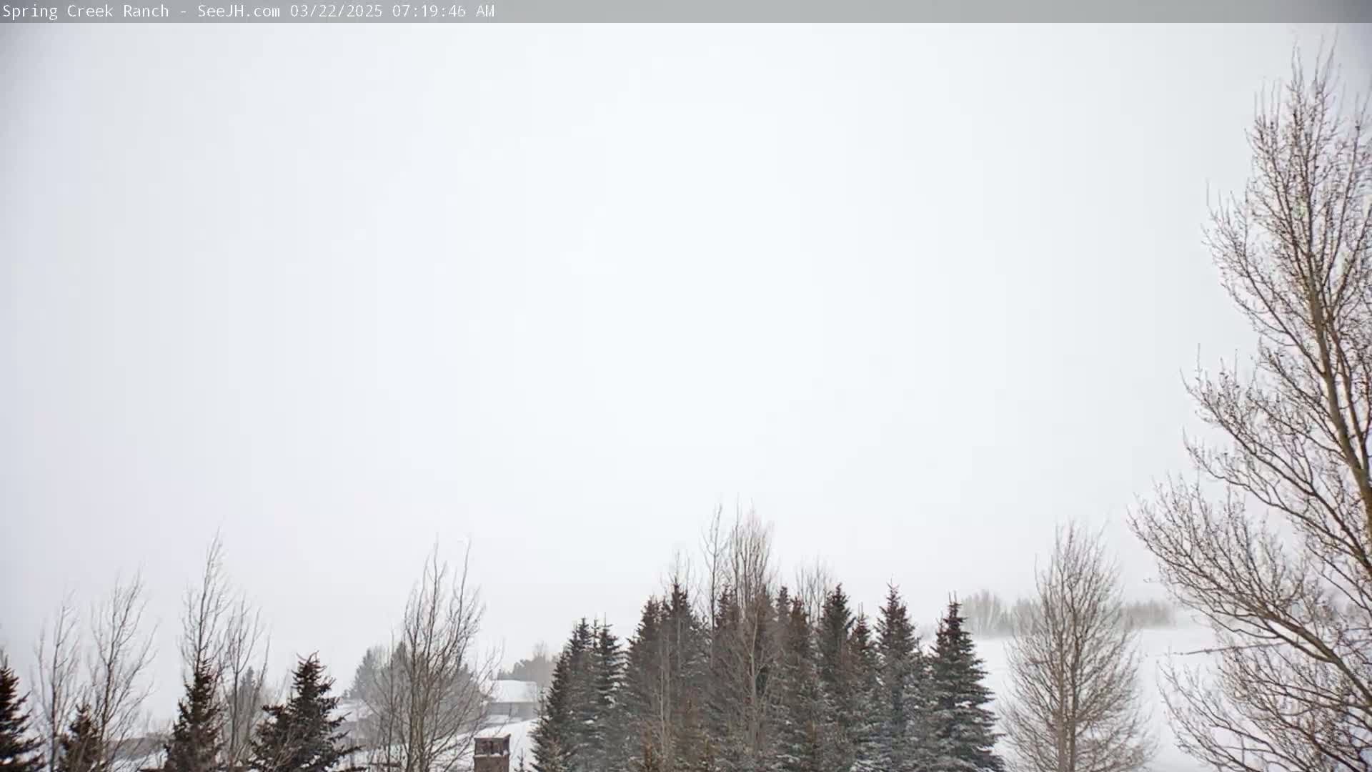A snowy landscape with leafless trees and evergreens in the foreground under an overcast sky.