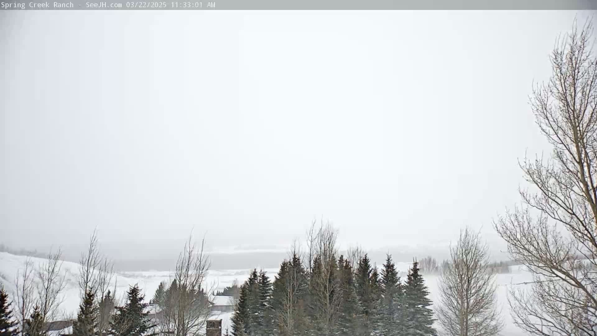 A snow-covered landscape with leafless trees and evergreens in the foreground, under a hazy, overcast sky.