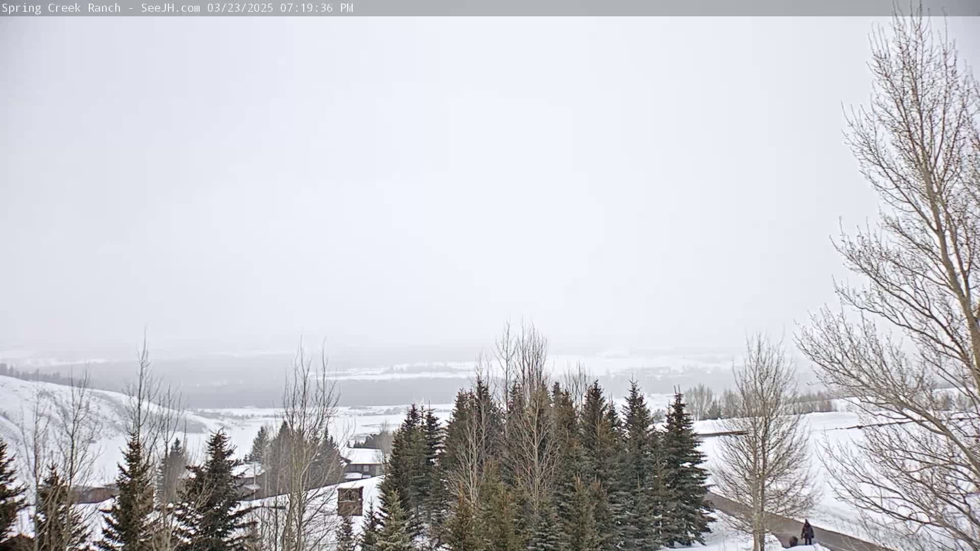 A snow-covered landscape with evergreen and deciduous trees, houses, and a hazy, distant valley is visible under a gray, overcast sky.