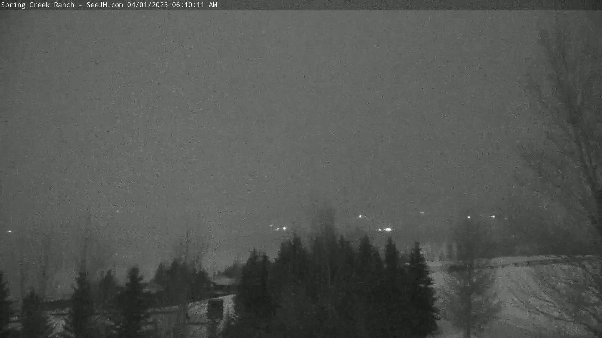 A nighttime view of a snow-covered landscape with a line of evergreens in the foreground and distant lights visible through falling snow.
