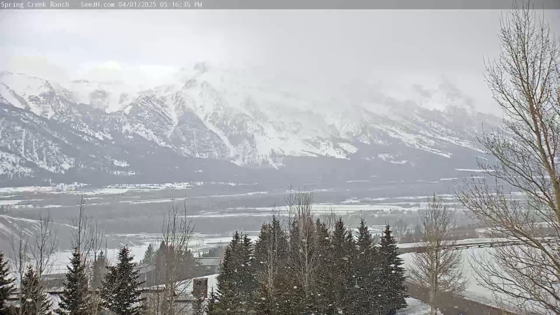 Snow falls over a valley of evergreen trees and snow-capped mountains in the distance.
