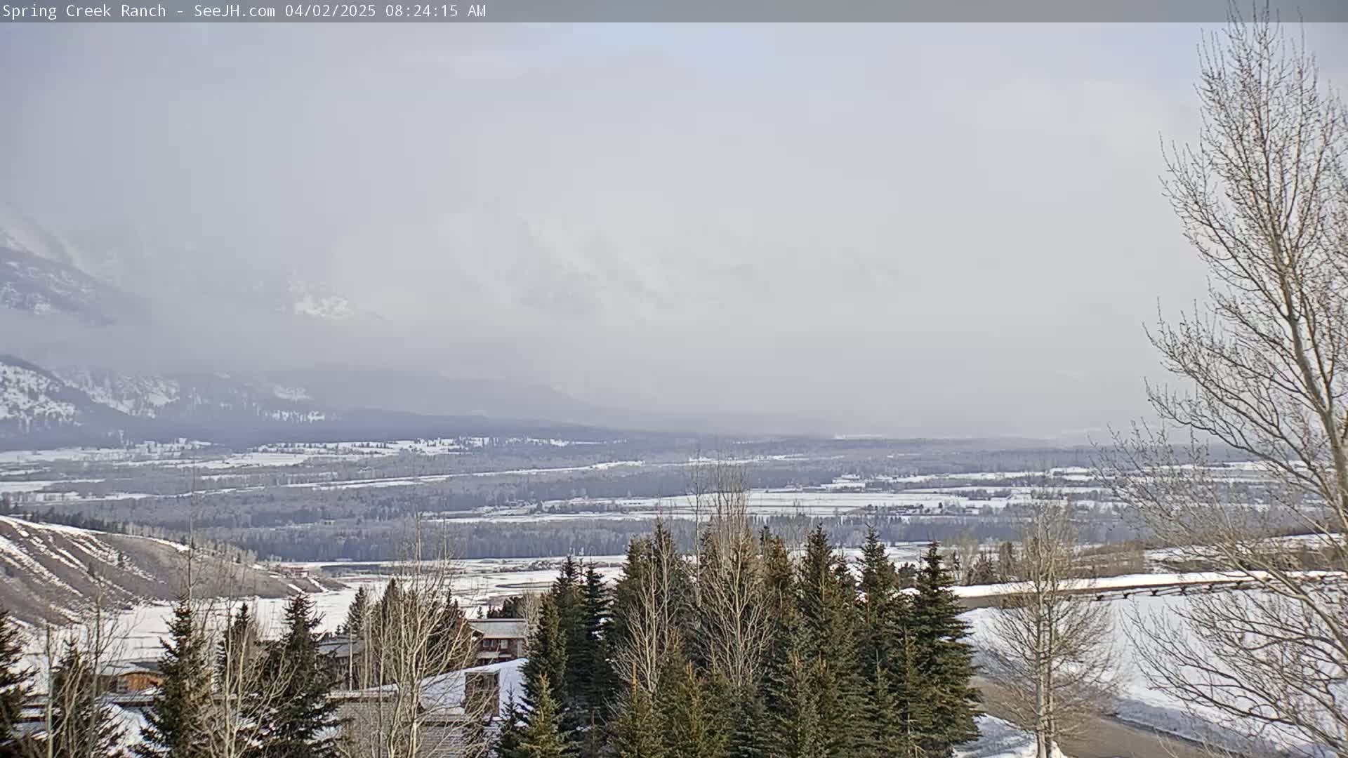 A hazy, snowy landscape stretches to distant mountains under an overcast sky, with evergreens and bare trees in the foreground.