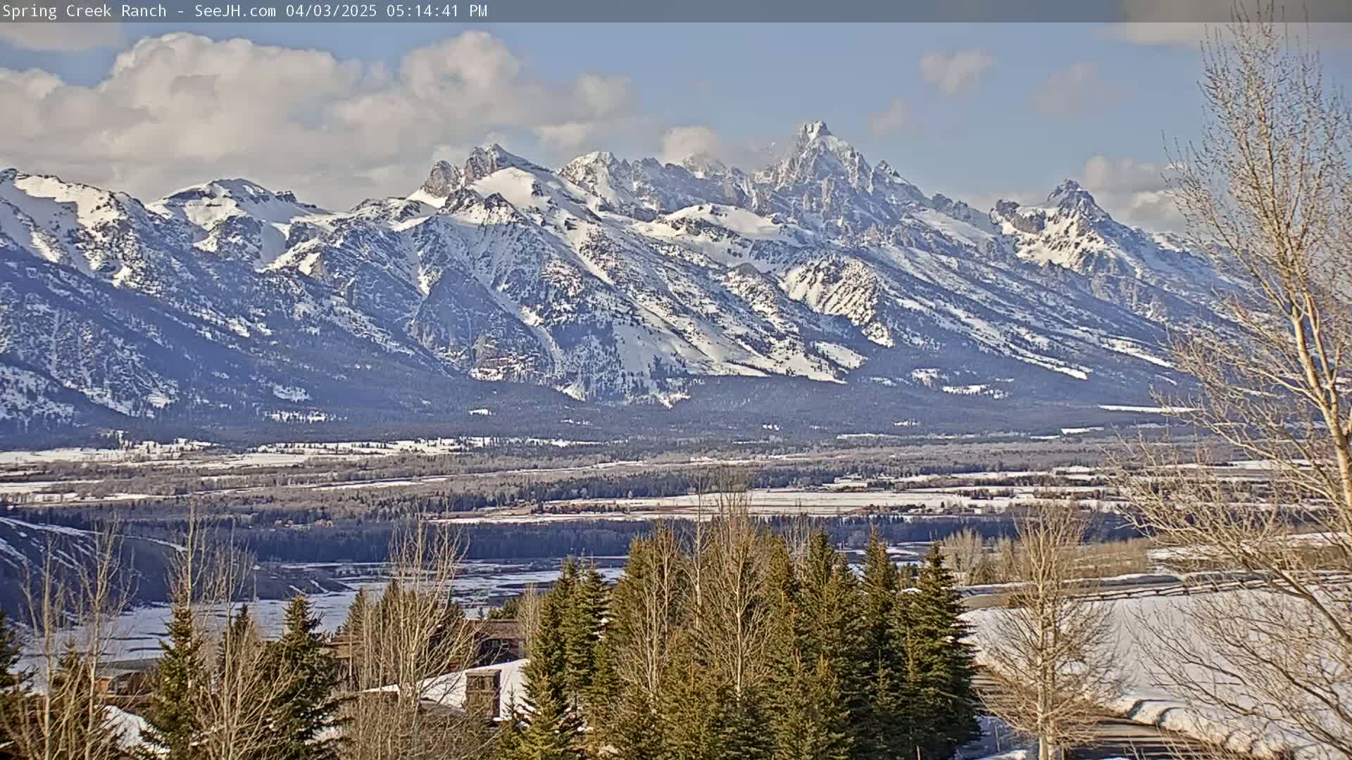 A snow-covered mountain range is visible in the distance under a partly cloudy sky, with a valley and evergreen trees in the foreground.