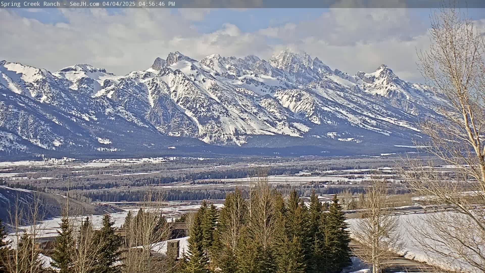 A snow-capped mountain range is visible in the distance under a partly cloudy sky, with a valley and a line of evergreens in the foreground.