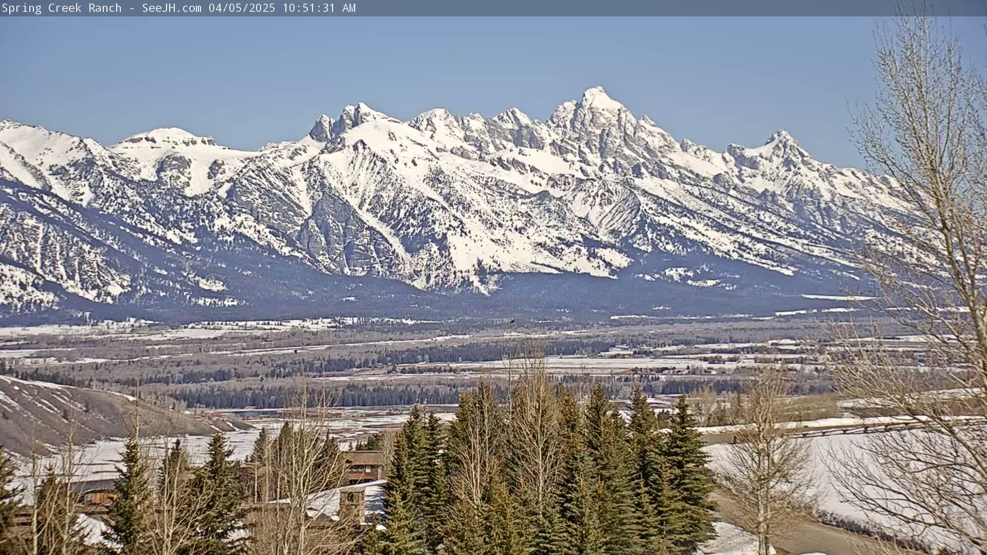 A snow-capped mountain range is visible in the distance under a clear blue sky, with a valley and evergreen trees in the foreground.
