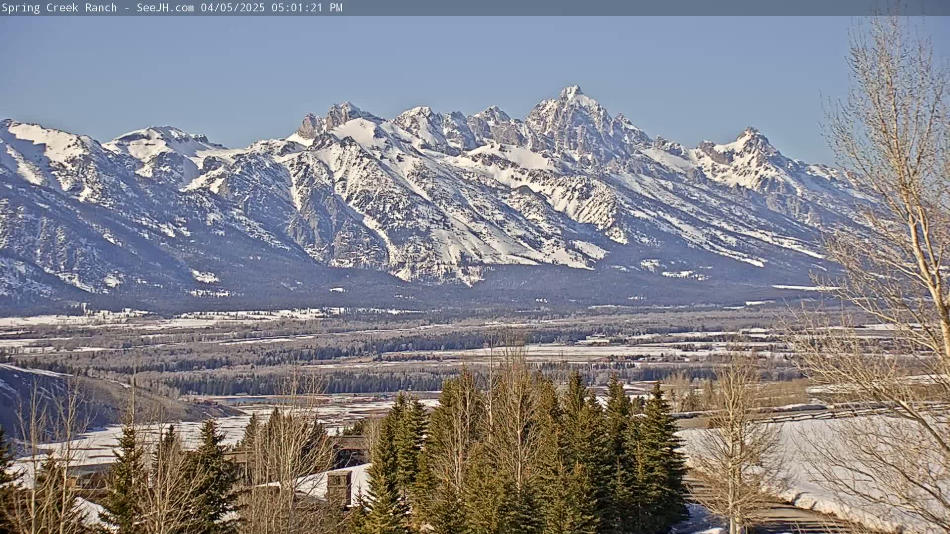 A snow-capped mountain range is visible in the distance, under a clear blue sky, with a valley and snow-covered trees in the foreground.