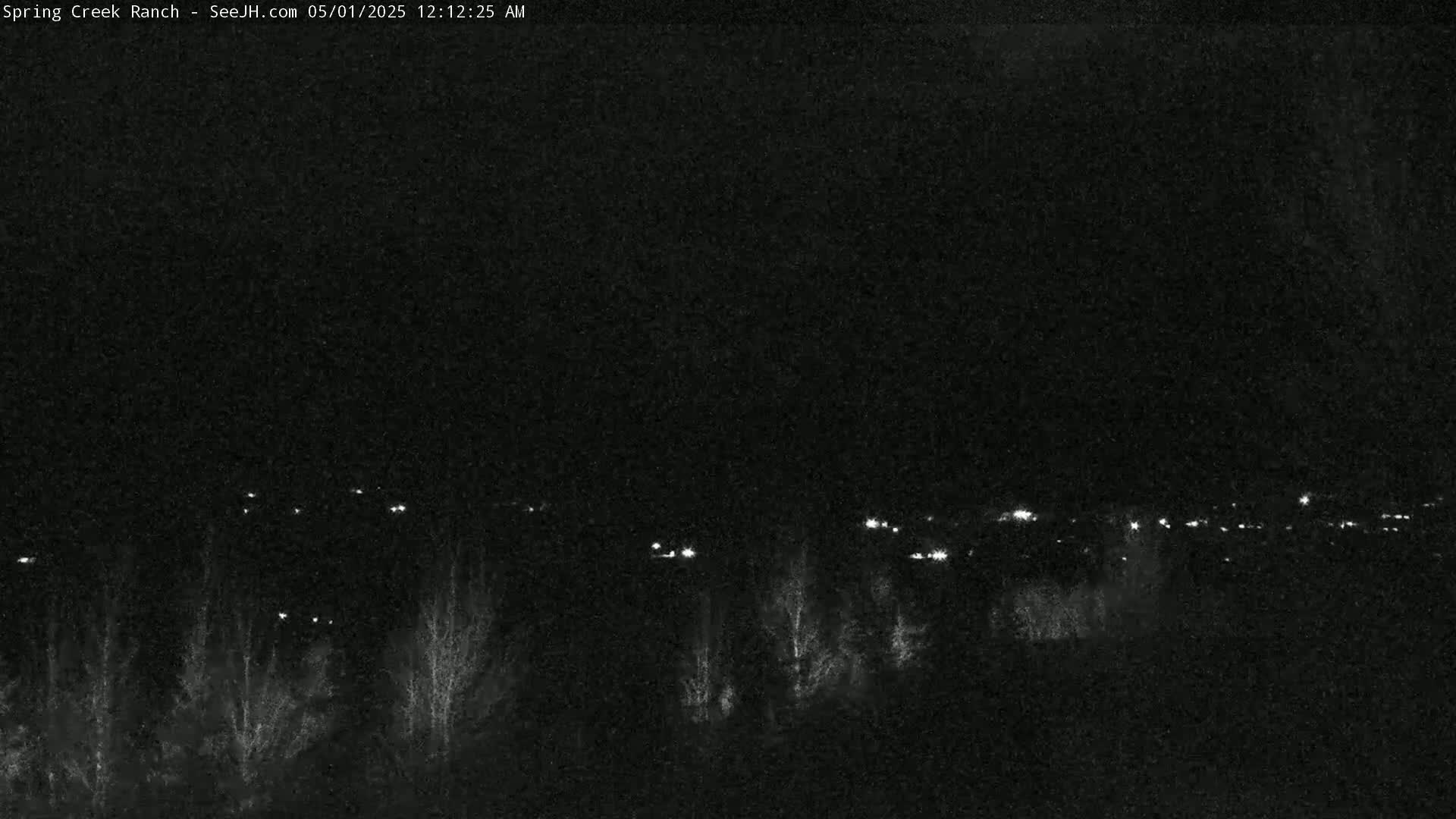 A nighttime, low-light view shows a line of distant lights beyond a dark, sparsely vegetated landscape.