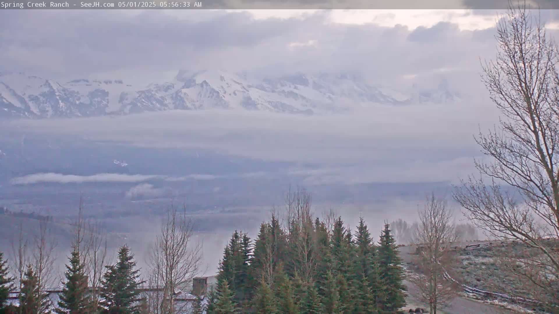 A foggy valley is visible below snow-capped mountains under an overcast sky, with evergreen and deciduous trees in the foreground.