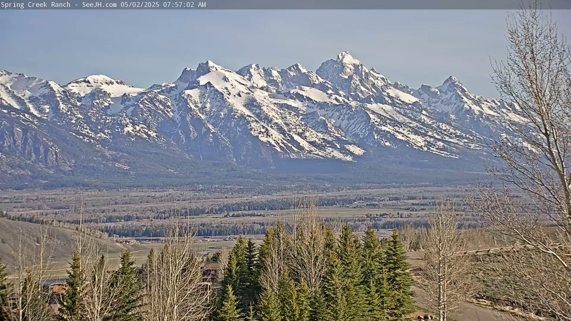 A snow-capped mountain range is visible in the distance, under a clear sky, beyond a valley of trees and sparse vegetation.