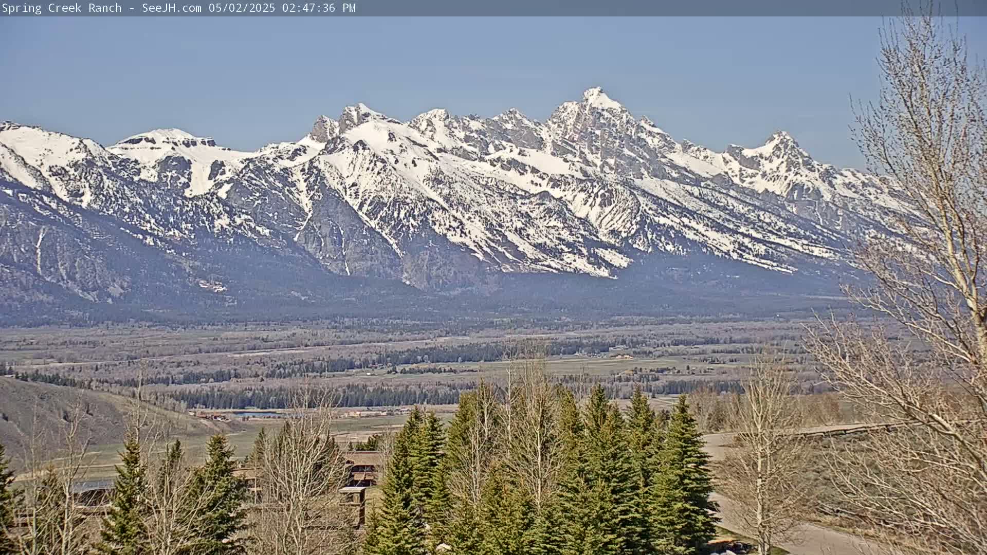 Snow-capped mountains rise in the distance over a valley of trees and scrub brush under a clear blue sky.