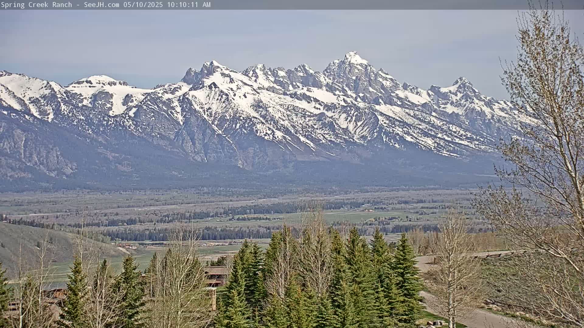 A snow-capped mountain range is visible in the distance, beyond a valley of trees and grassland under a clear sky.