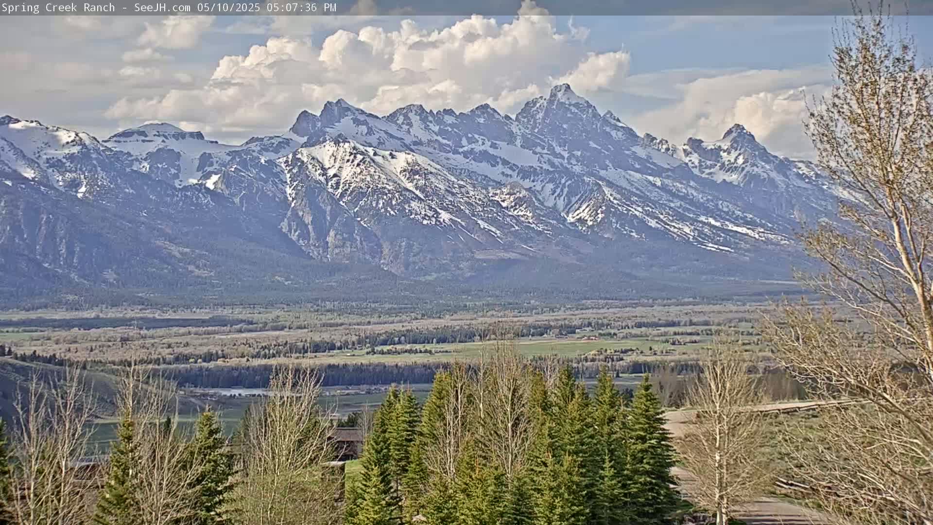 A snow-capped mountain range is visible in the distance under a partly cloudy sky, with a valley and a line of trees in the foreground.