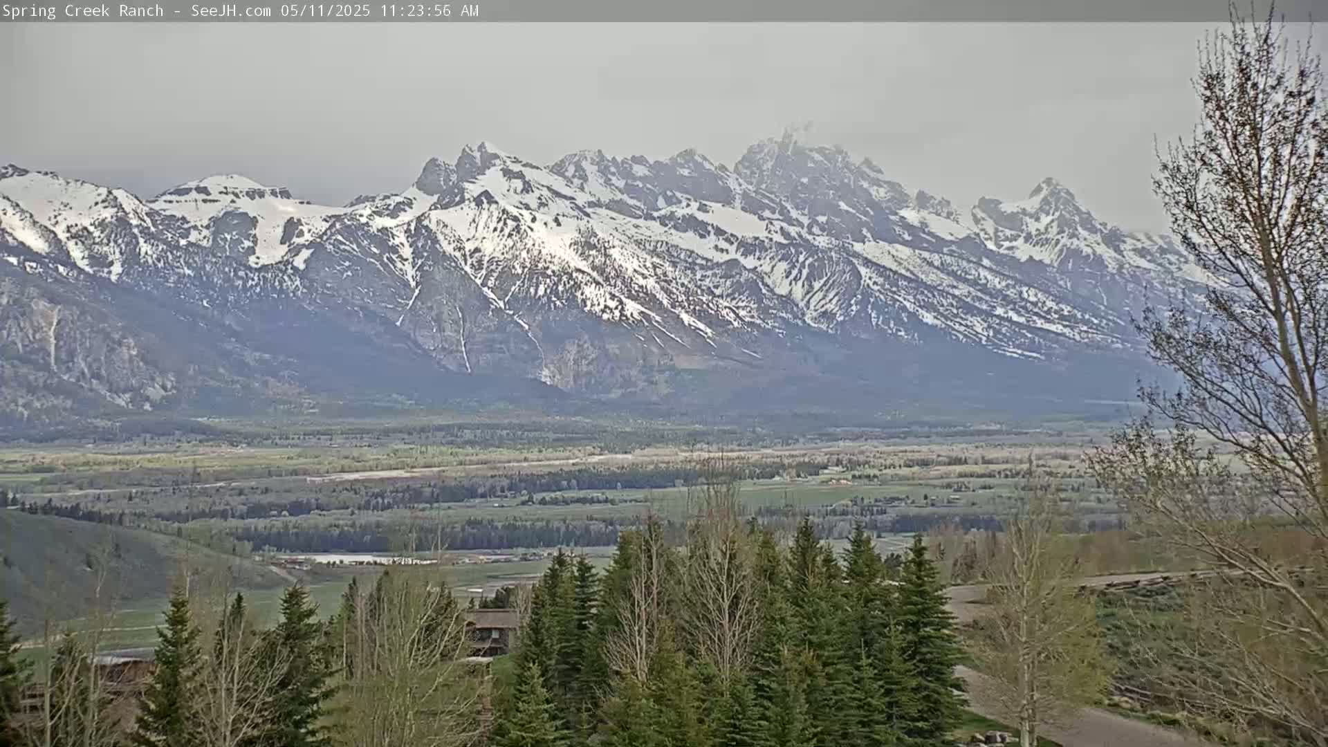A snow-capped mountain range is visible in the distance, with a valley of green fields and trees in the foreground under an overcast sky.