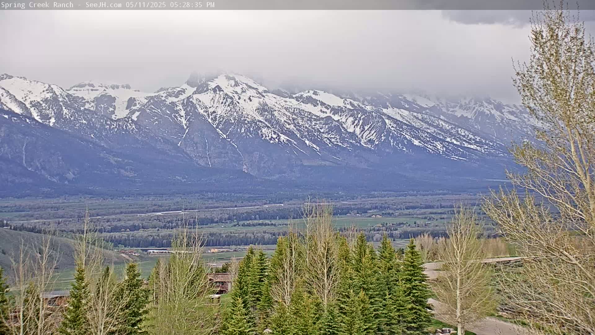 A view of snow-capped mountains under an overcast sky, overlooking a valley with evergreen and deciduous trees in the foreground.