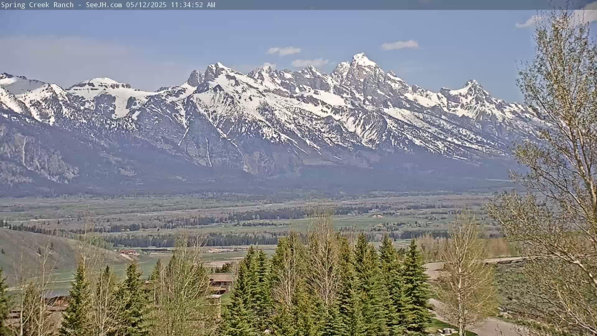 A snow-capped mountain range is visible in the distance under a mostly clear, bright sky, with a valley and evergreen trees in the foreground.