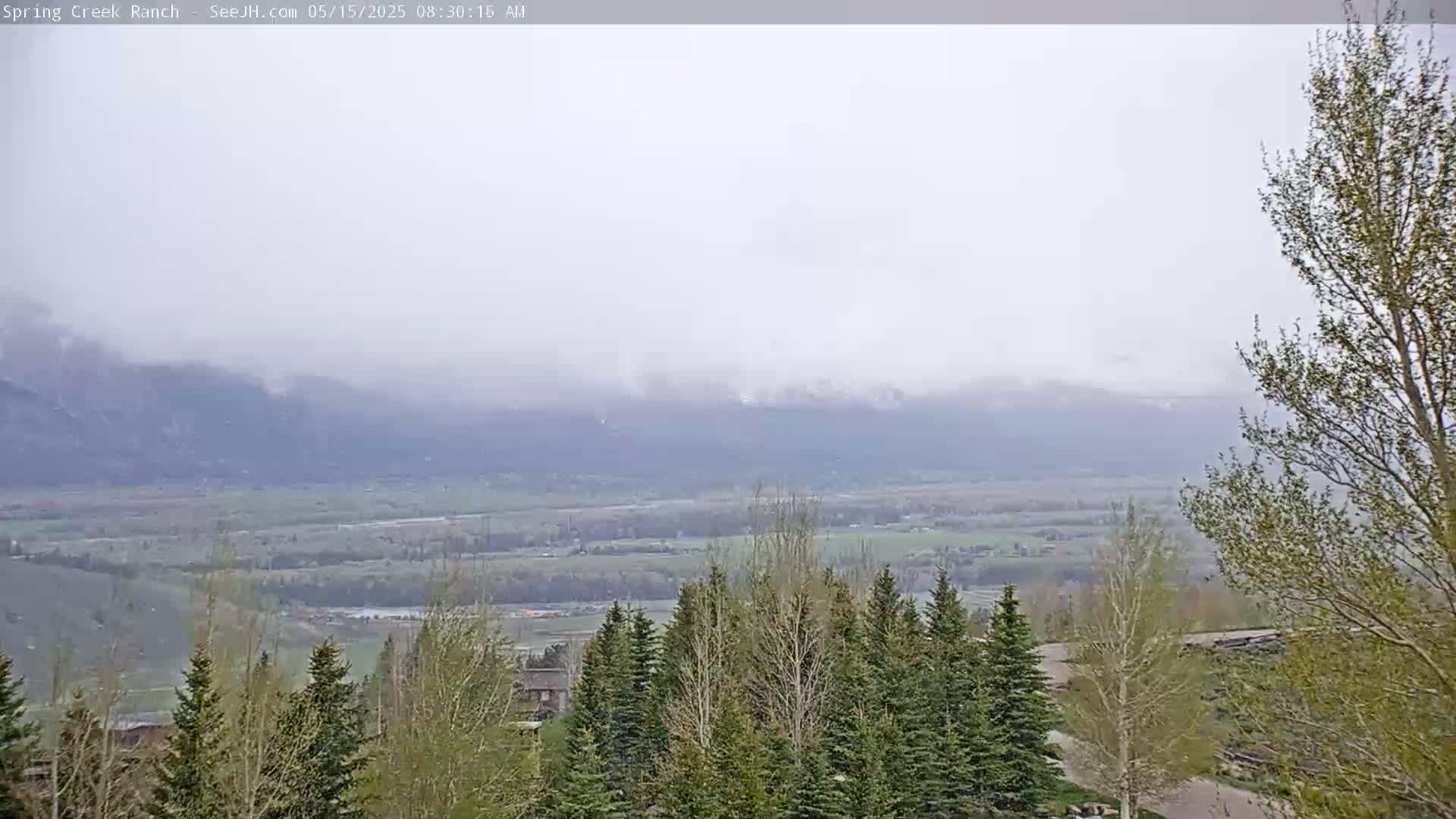 A foggy, mountainous landscape is visible from a vantage point overlooking a valley with evergreen trees in the foreground.