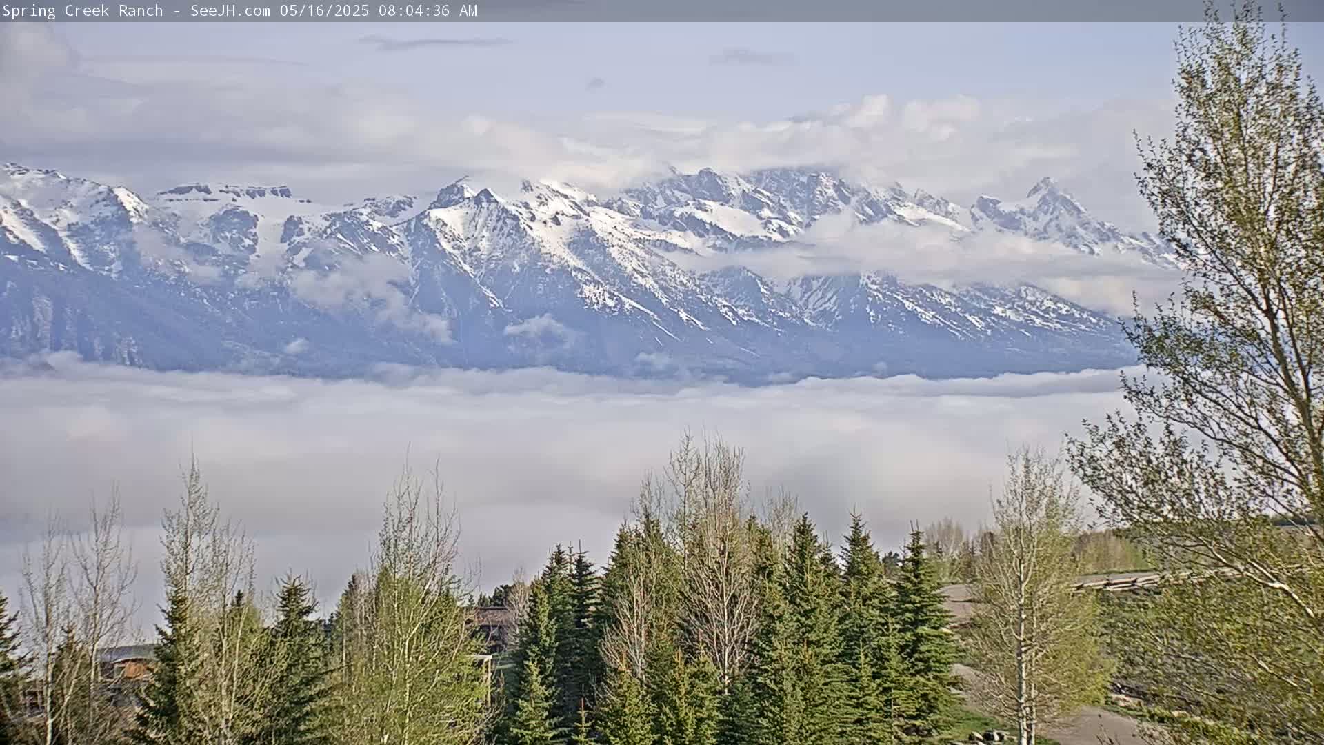 Snow-capped mountains rise above a thick layer of fog, with deciduous and evergreen trees in the foreground.