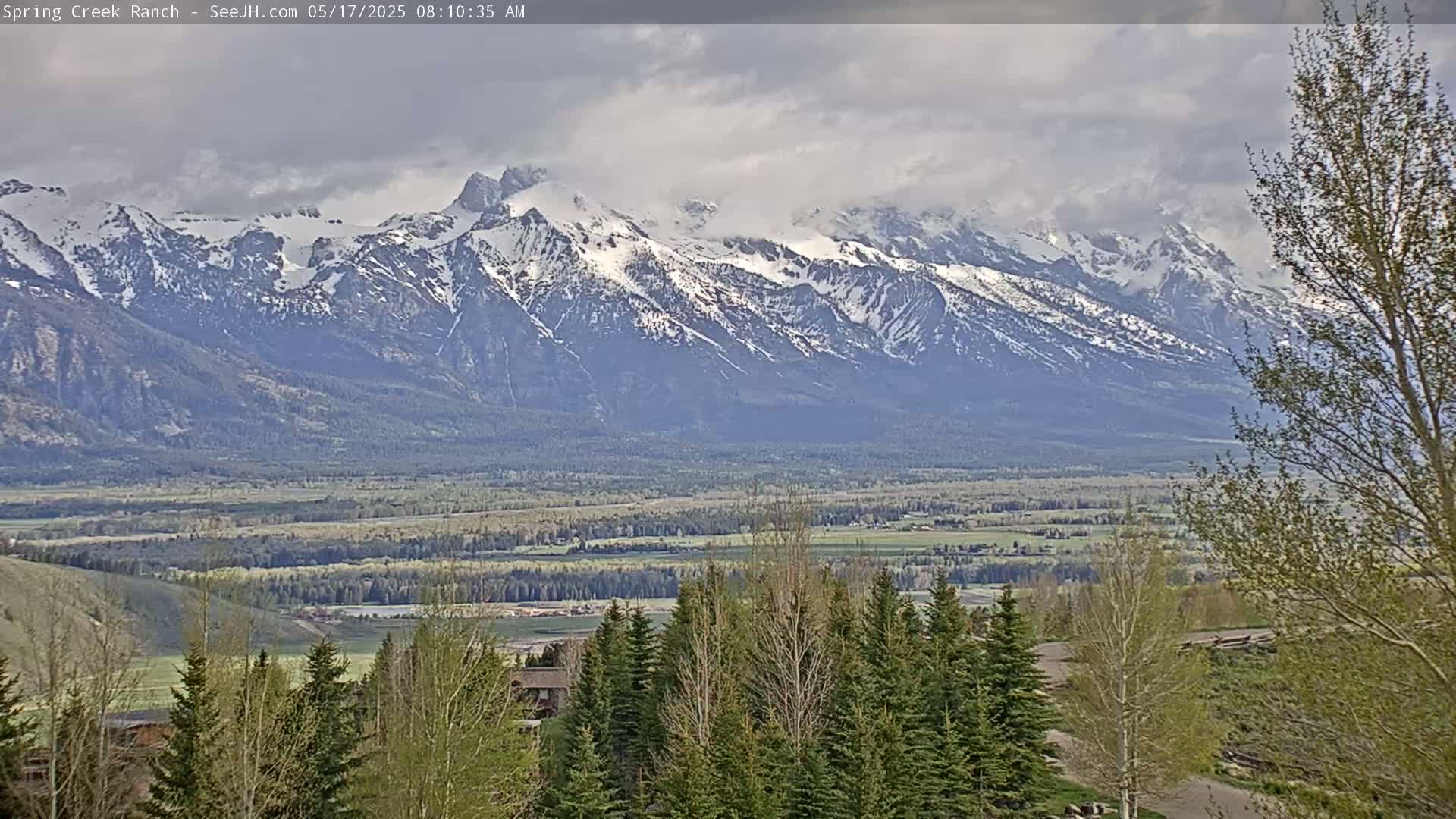 A snow-capped mountain range is visible in the distance under a cloudy sky, with a valley of green fields and trees in the foreground.