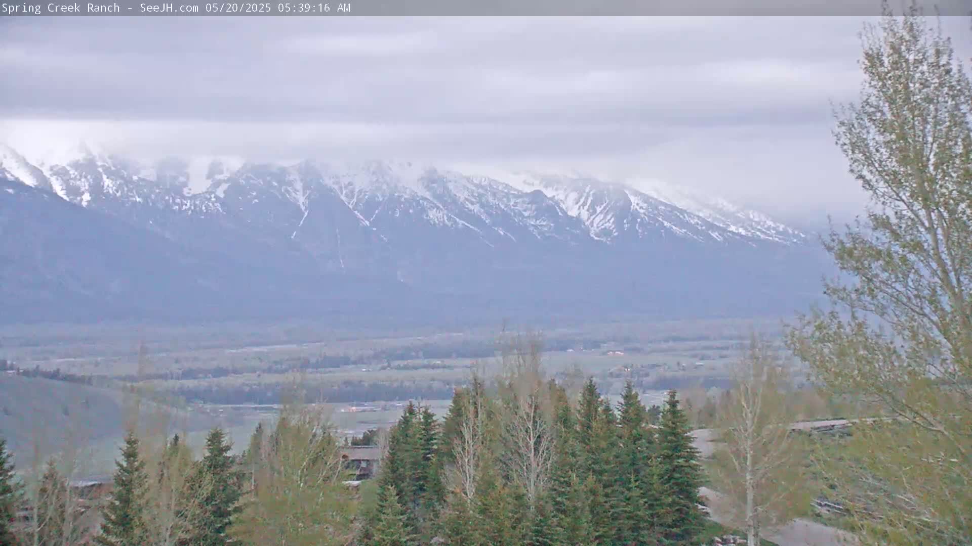 A snow-capped mountain range is visible in the distance under an overcast sky, with a valley of trees and low-lying vegetation in the foreground.