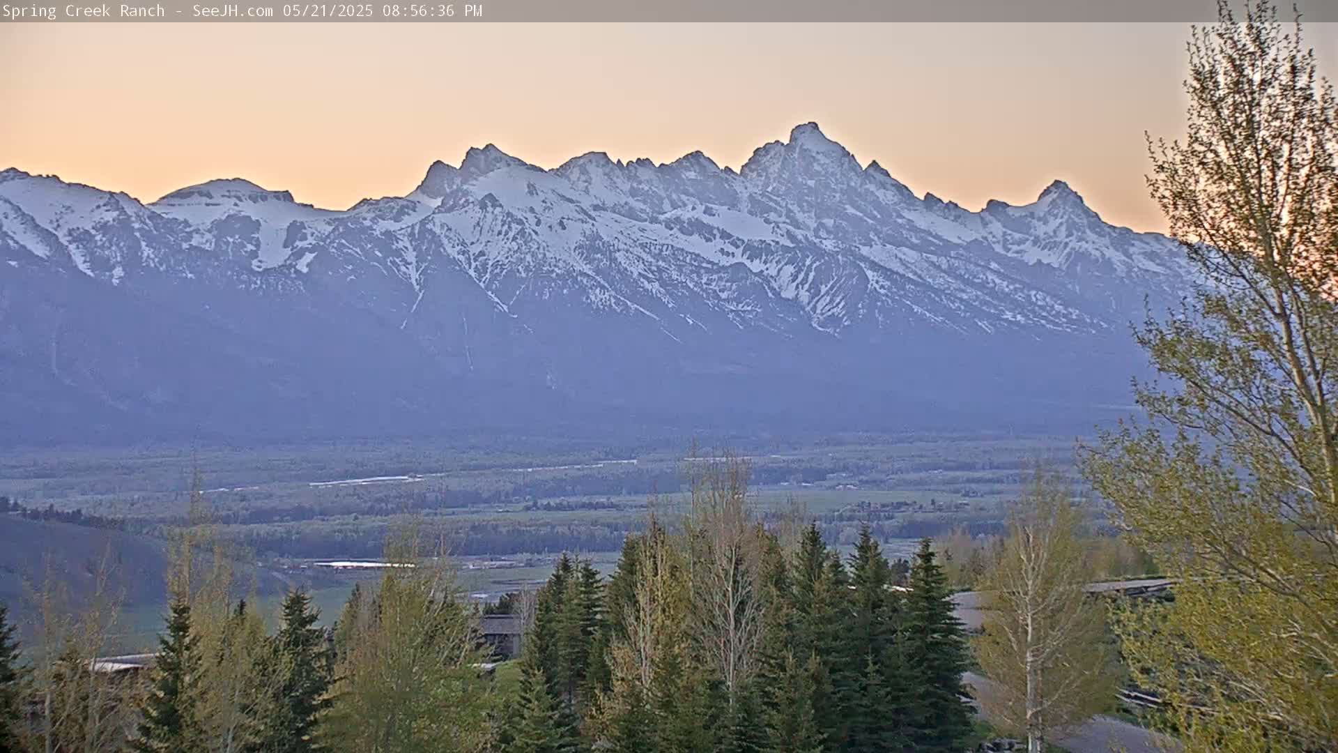 A snow-capped mountain range is visible in the distance under a pale pink sunset sky, with evergreen and deciduous trees in the foreground.
