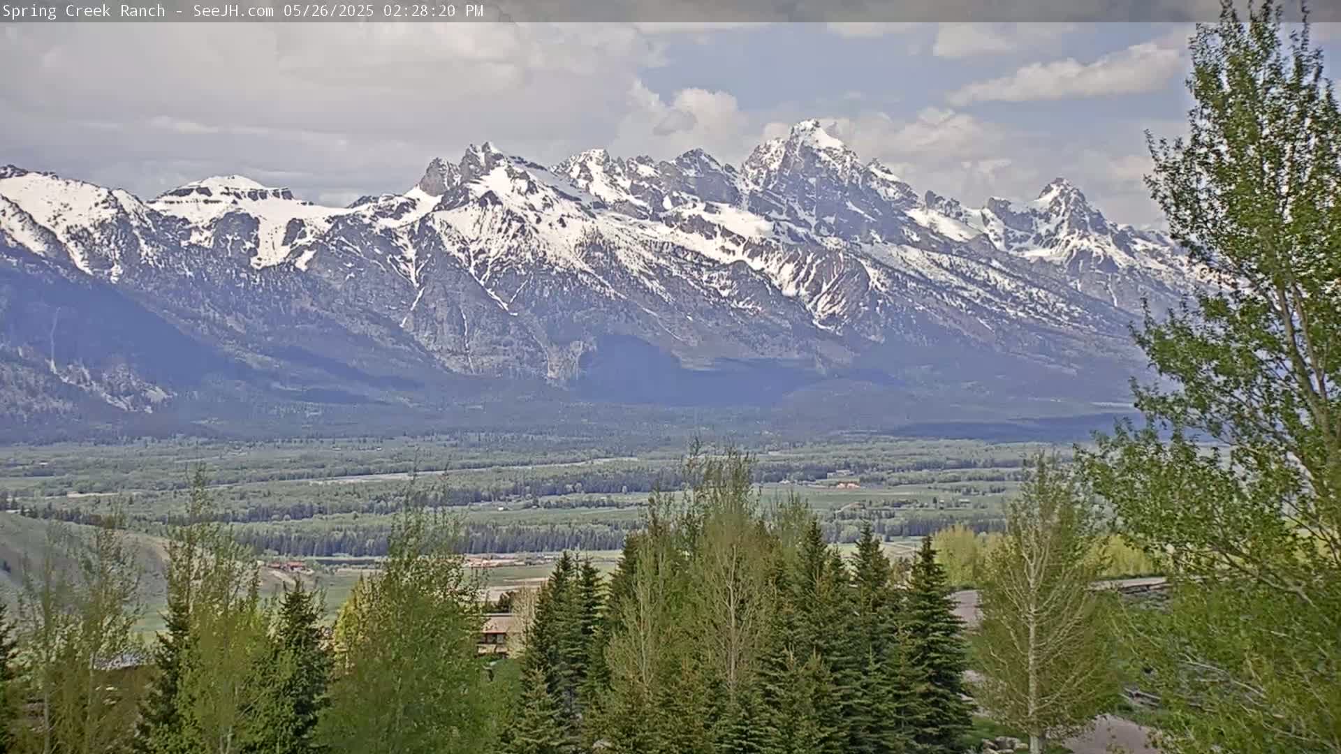 Grand Teton Mountain from Spring Creek Ranch in Jackson Hole, Wyoming - Jackson, Teton, Wyoming, USA