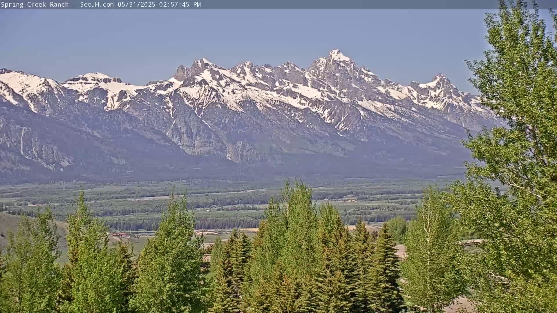 A snow-capped mountain range is visible in the distance under a clear, sunny sky, with a valley of green trees and shrubs in the foreground.