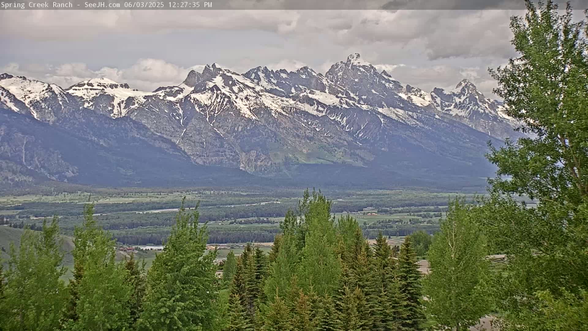 A snow-capped mountain range is visible in the distance, under a cloudy sky, with a valley of green trees and vegetation in the foreground.