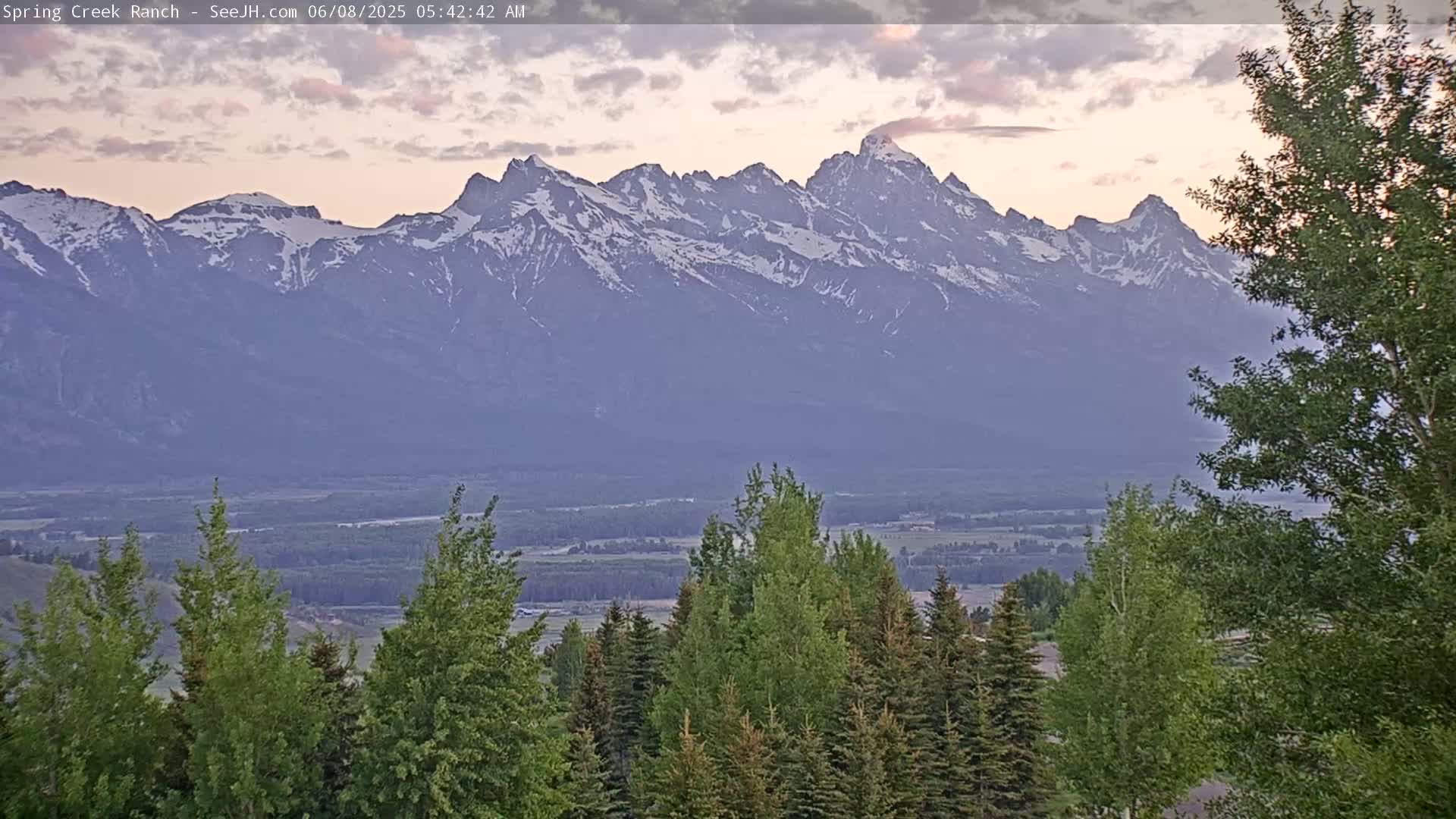 A snow-capped mountain range is visible in the distance under a partly cloudy, dawn sky, with evergreen trees in the foreground.