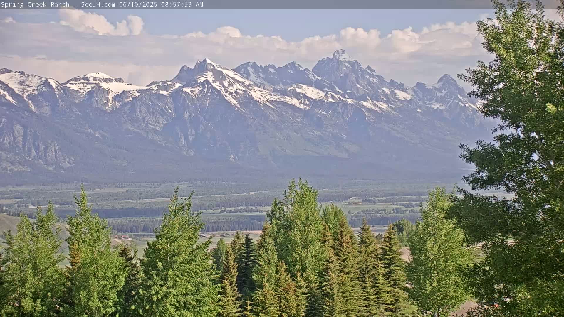 A partly cloudy day reveals a snow-capped mountain range in the distance, viewed from behind a stand of evergreen and deciduous trees.